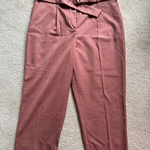 Ann Taylor Terracotta Trousers